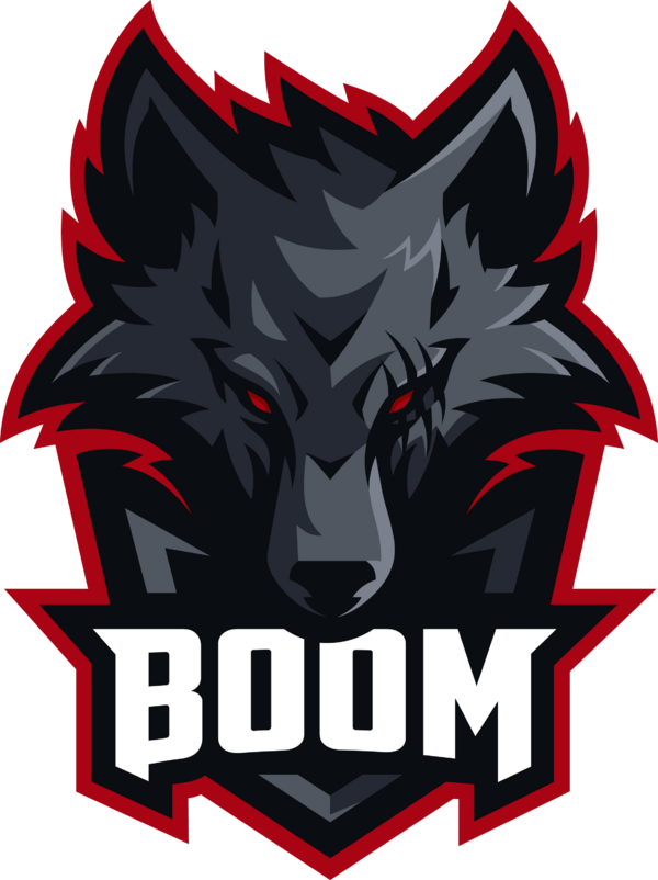 The Esports Boom